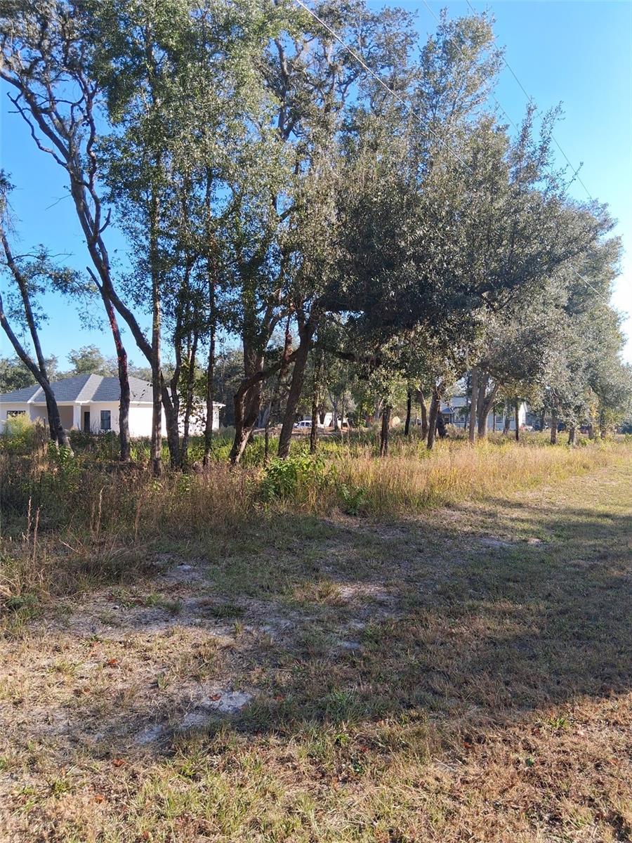 0 August Ave Property Photo 2
