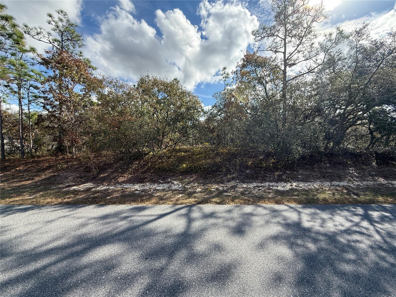 220 Linder Dr Property Photo 2
