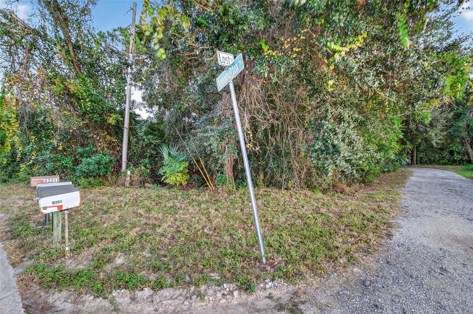 6345 Lost Trl Property Photo 67