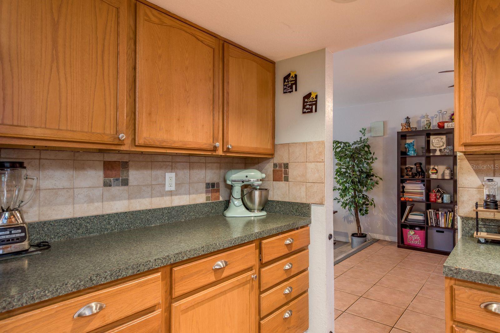 7487 Alhambra Ct Property Photo 18