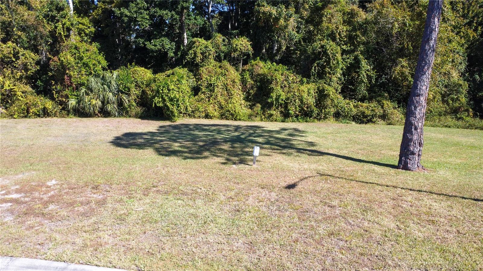 Forest Glenn Dr Property Photo 1
