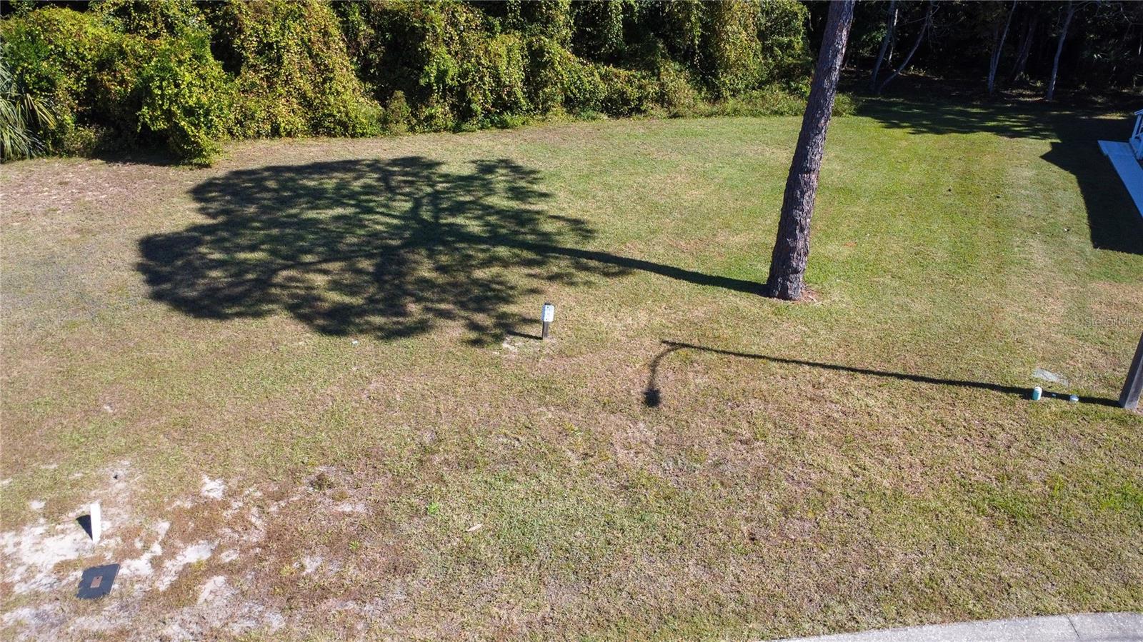 Forest Glenn Dr Property Photo 3