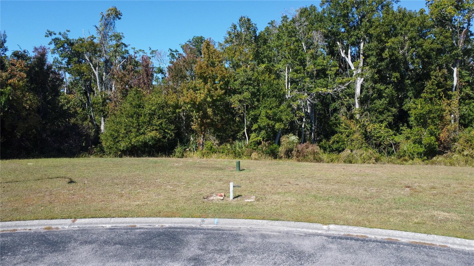 0 Forest Glenn Dr Property Photo 2
