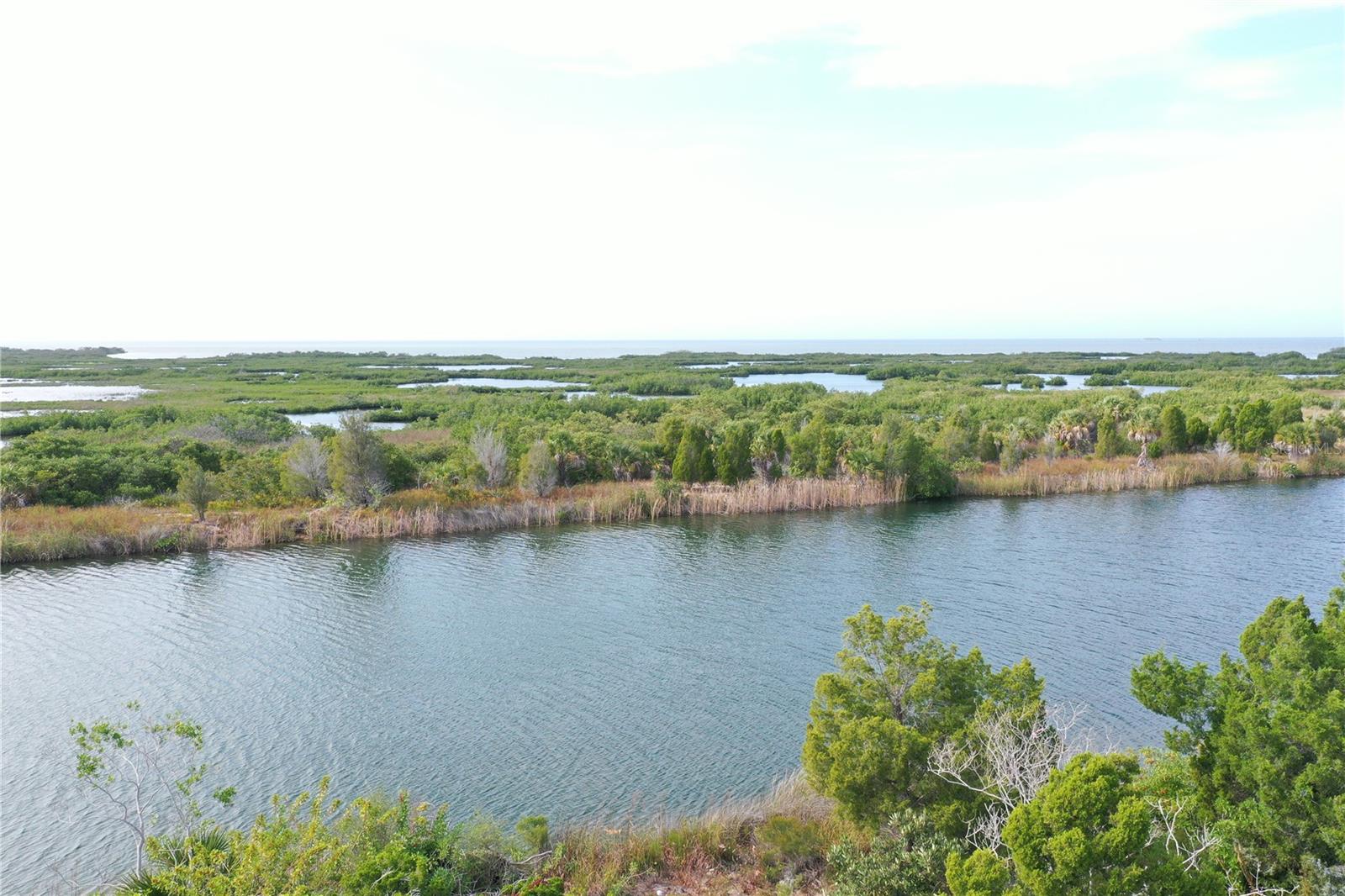 Lugustrum Dr Property Photo 6