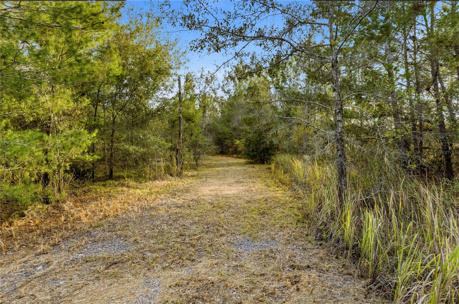 0 Backwoods Way Property Photo