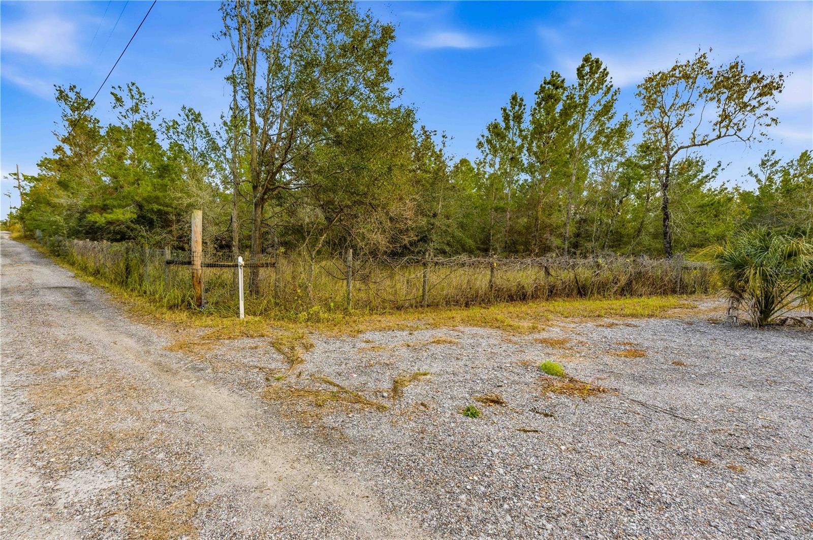 0 Backwoods Way Property Photo 4