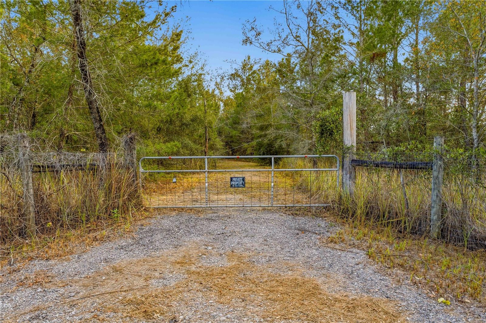 0 Backwoods Way Property Photo 5