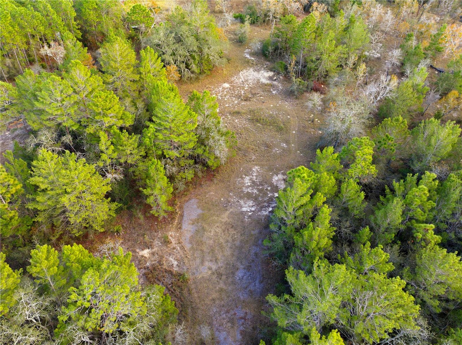 0 Backwoods Way Property Photo 6