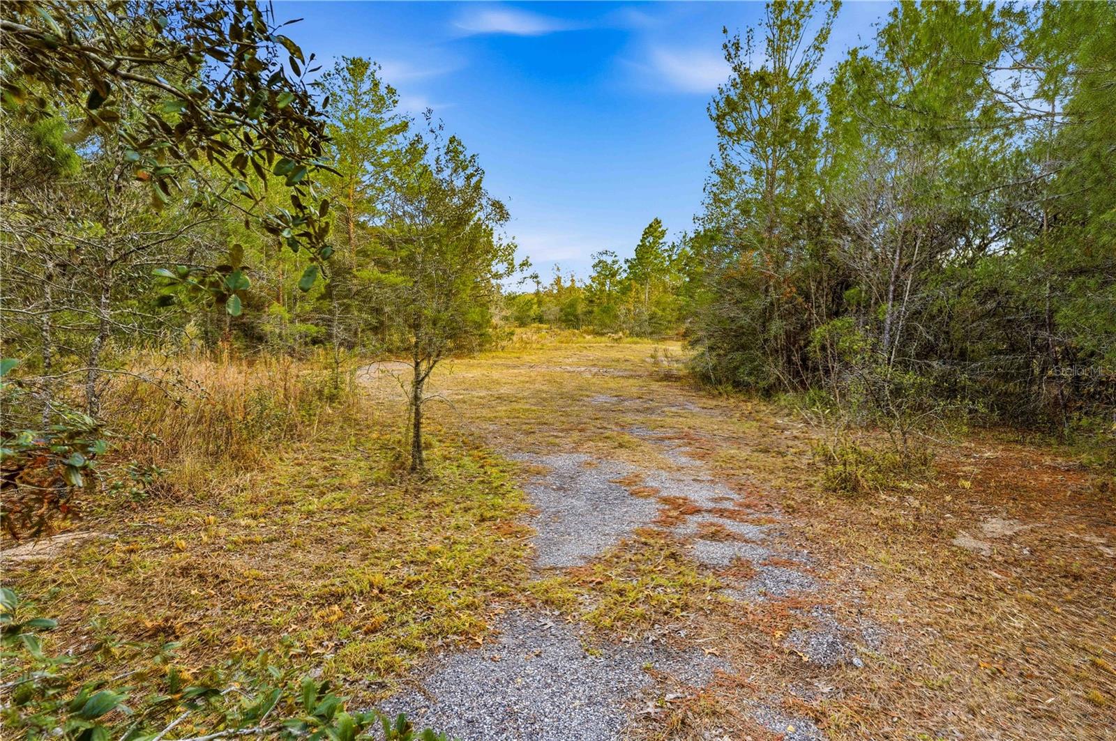 0 Backwoods Way Property Photo 7