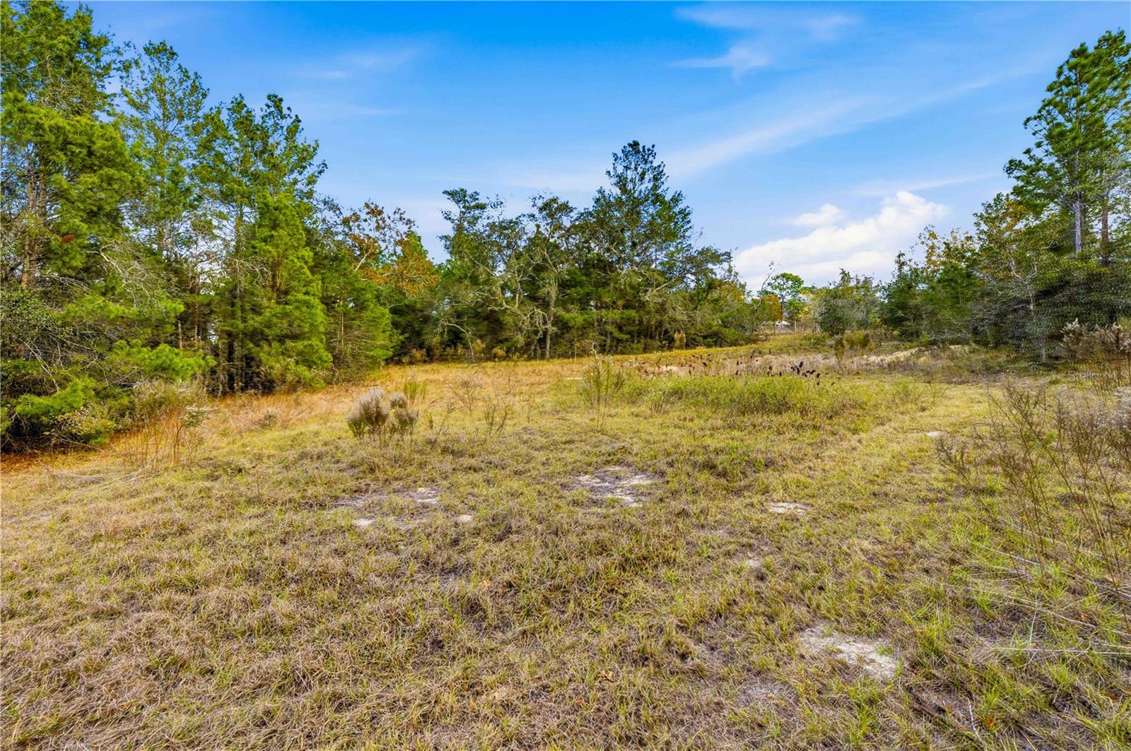 0 Backwoods Way Property Photo 8