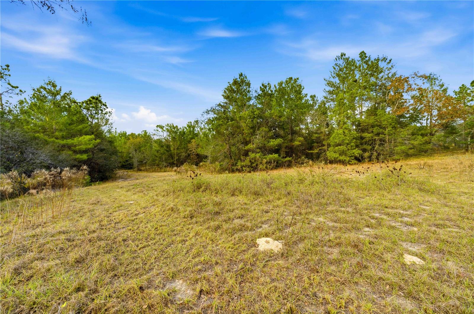0 Backwoods Way Property Photo 9