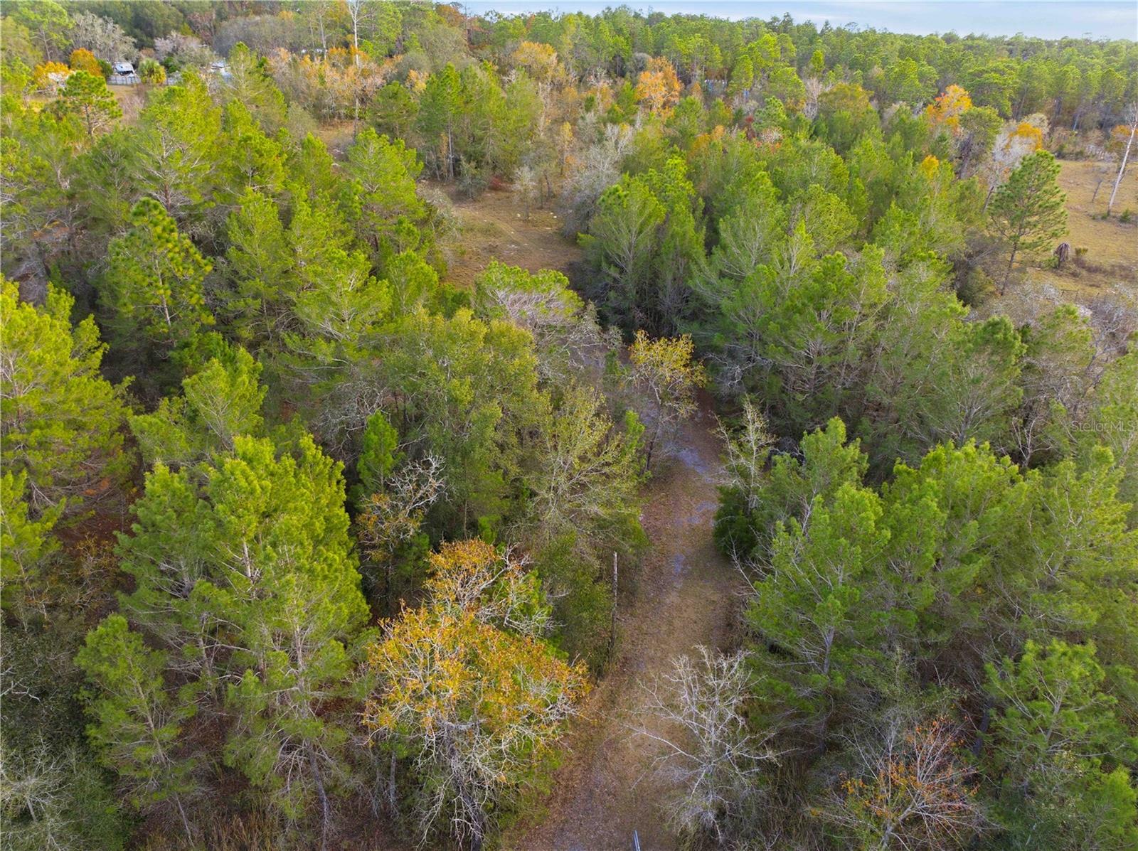 0 Backwoods Way Property Photo 13