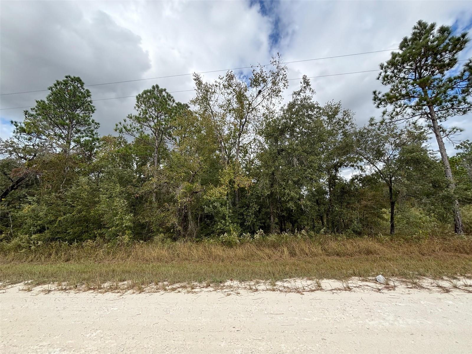 Lot 11 Red Marlin Ave Property Photo 2