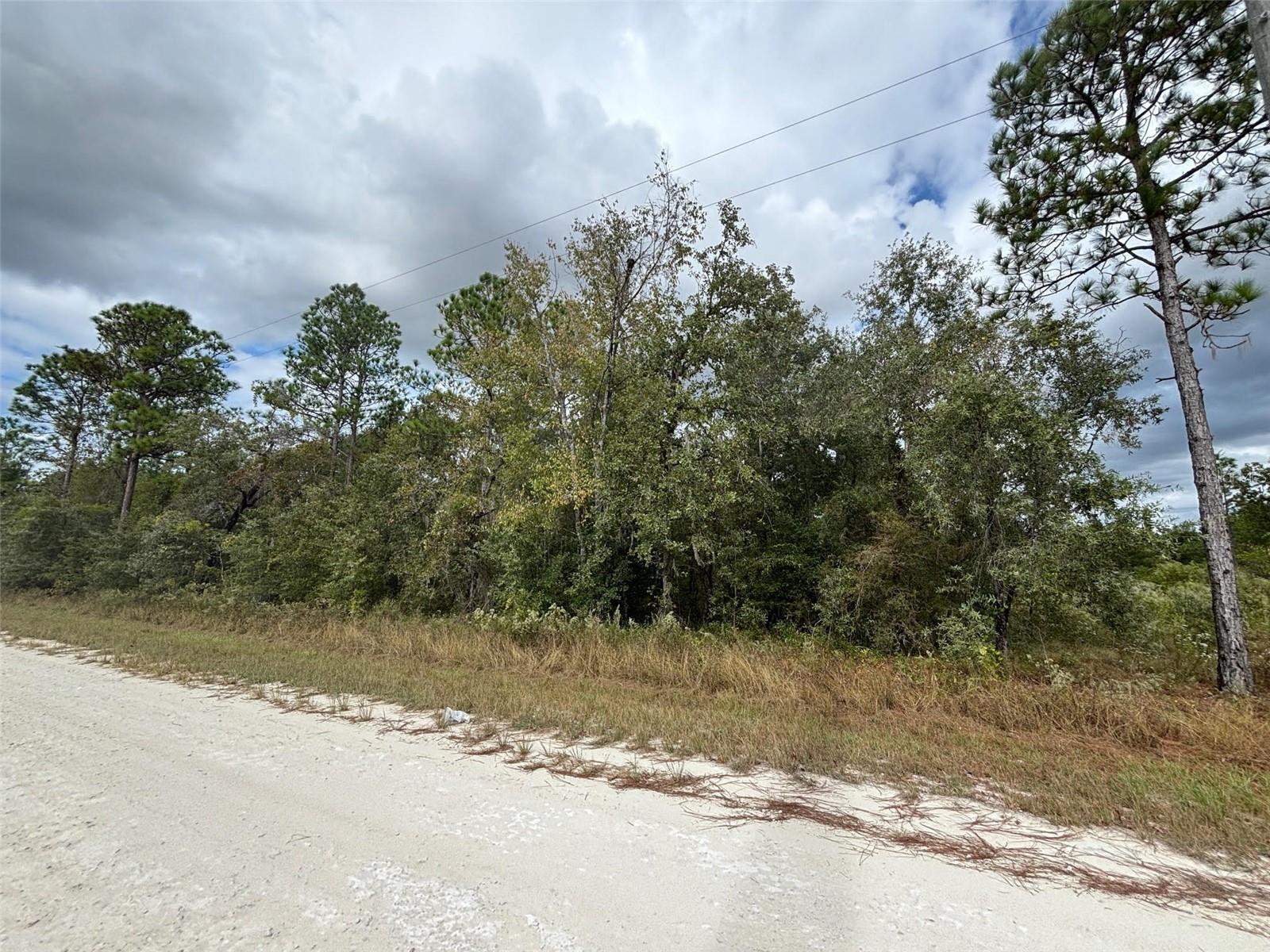 Lot 11 Red Marlin Ave Property Photo 4