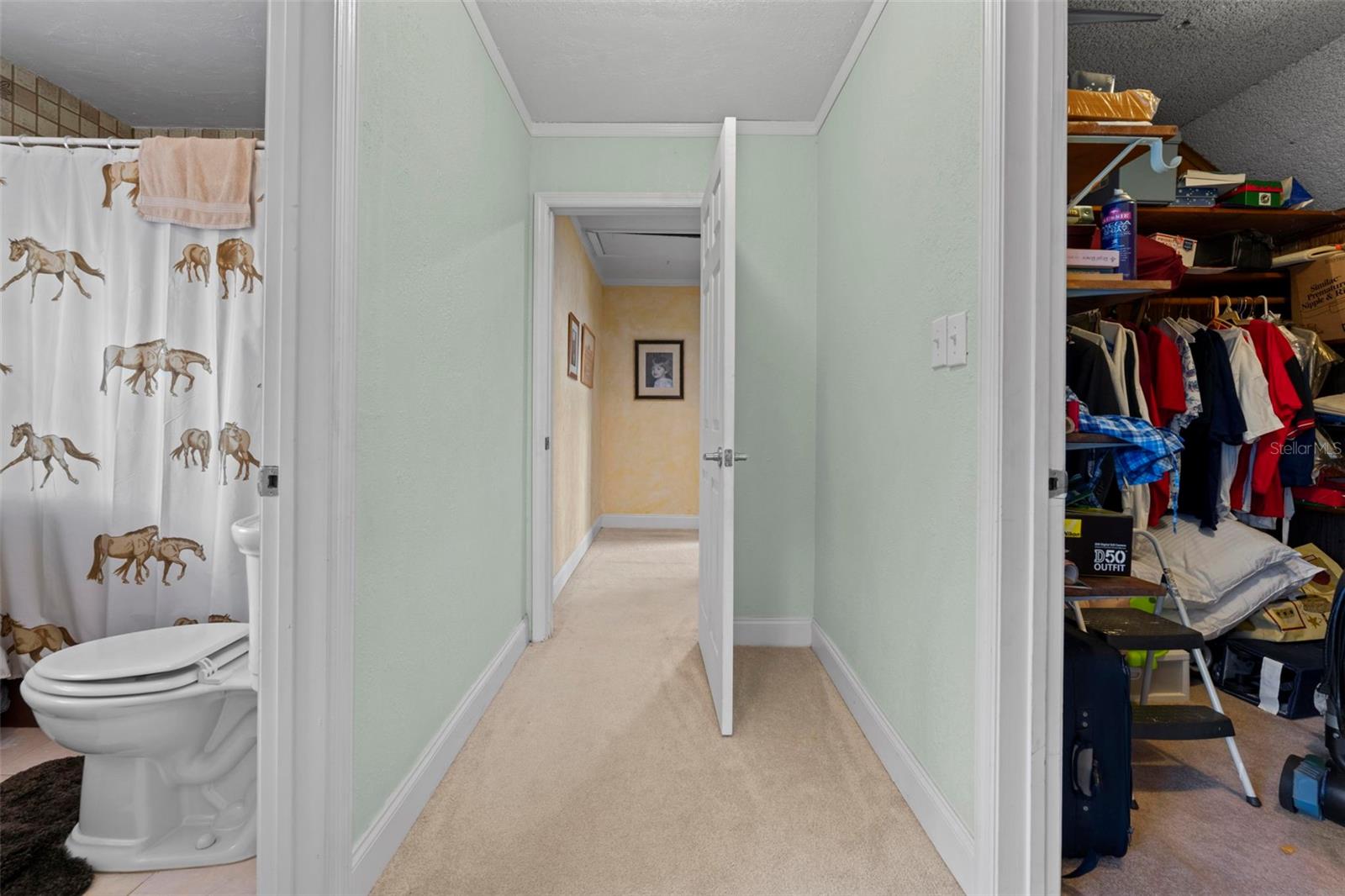 5478 Glorious Trl Property Photo 43