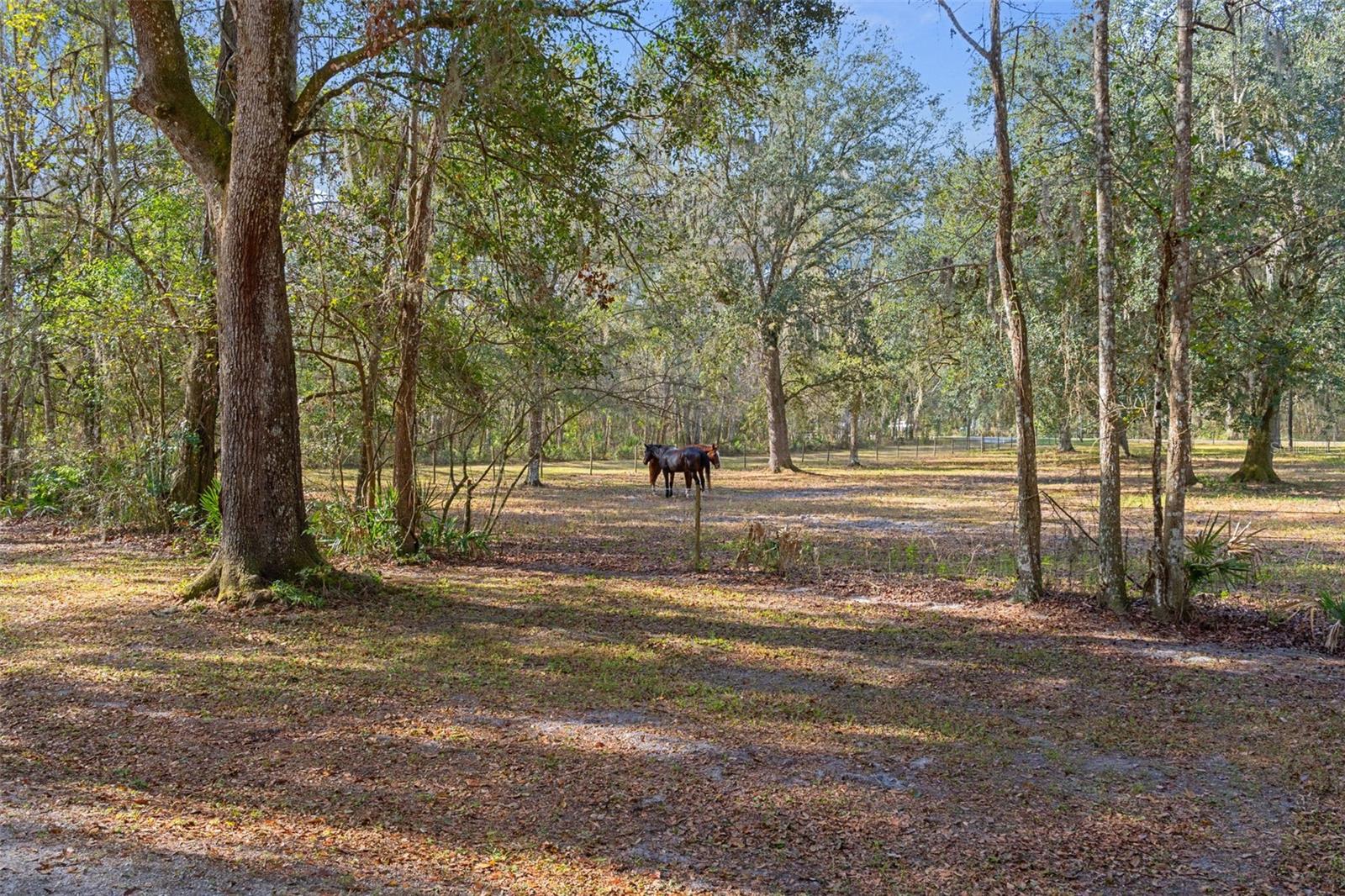 5248 Neff Lake Rd Property Photo 87
