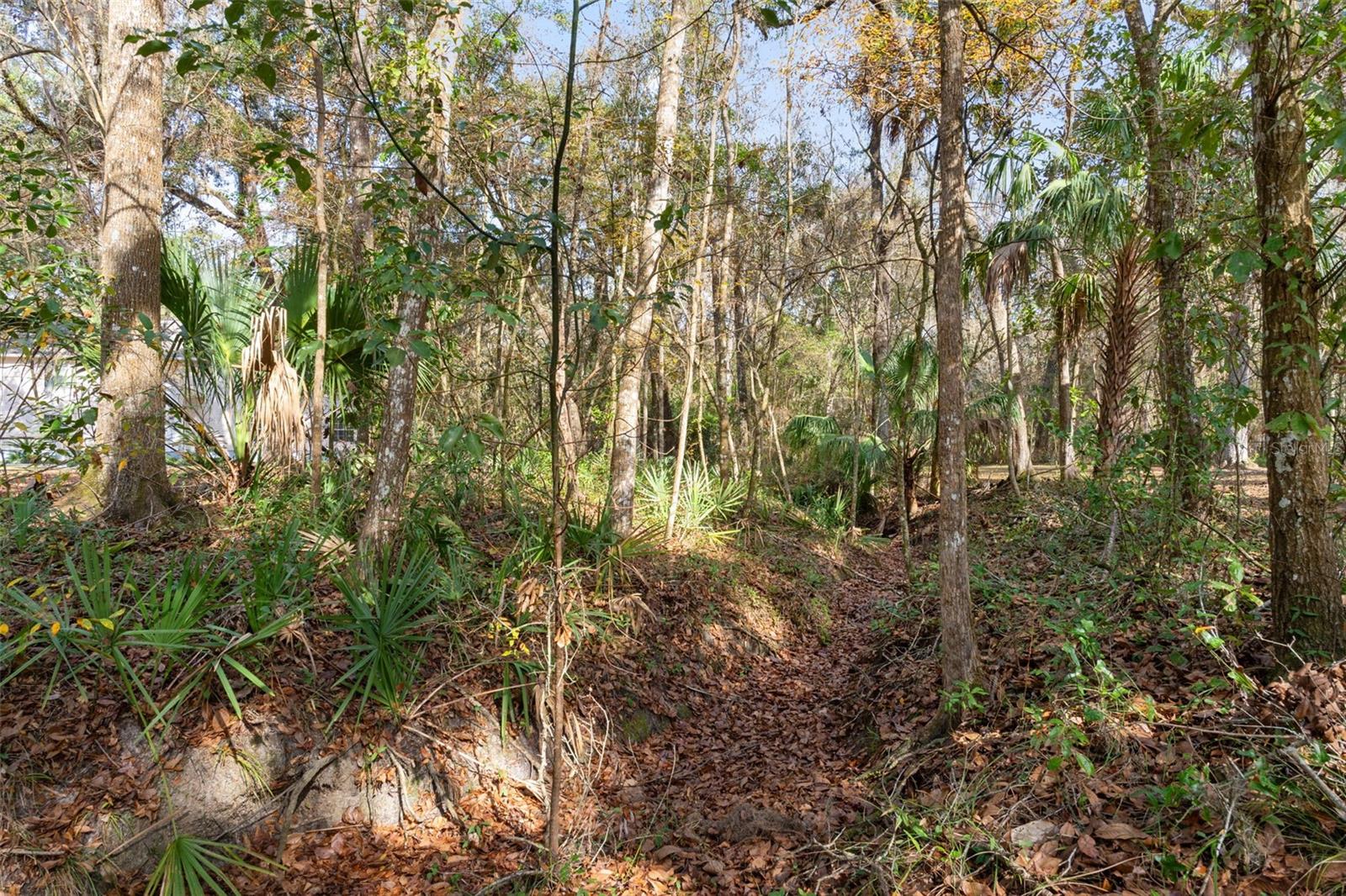 5248 Neff Lake Rd Property Photo 88