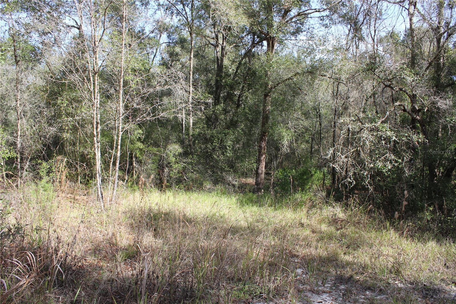 34273 Belt Dr Property Photo 2