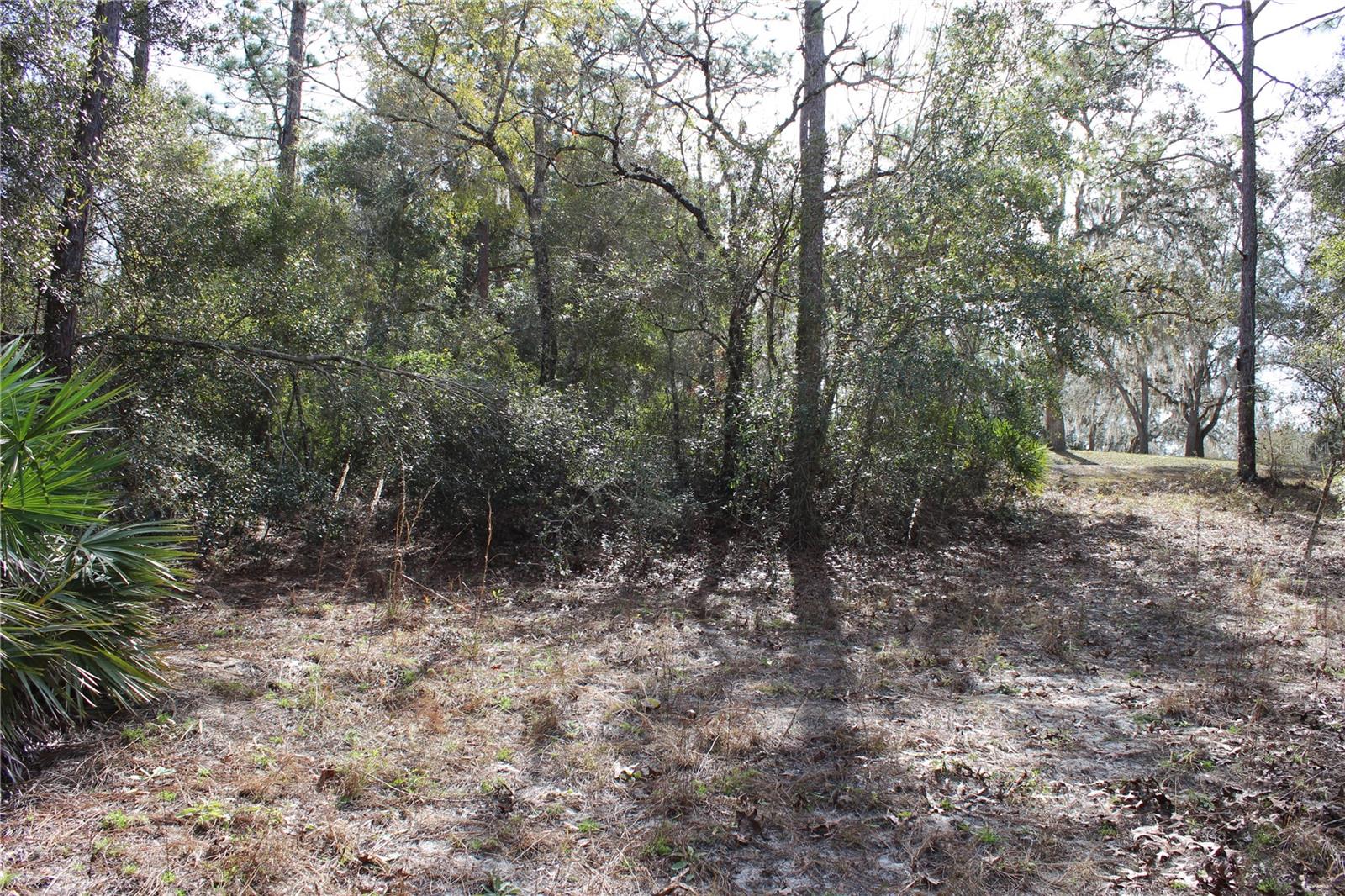 34273 Belt Dr Property Photo 3