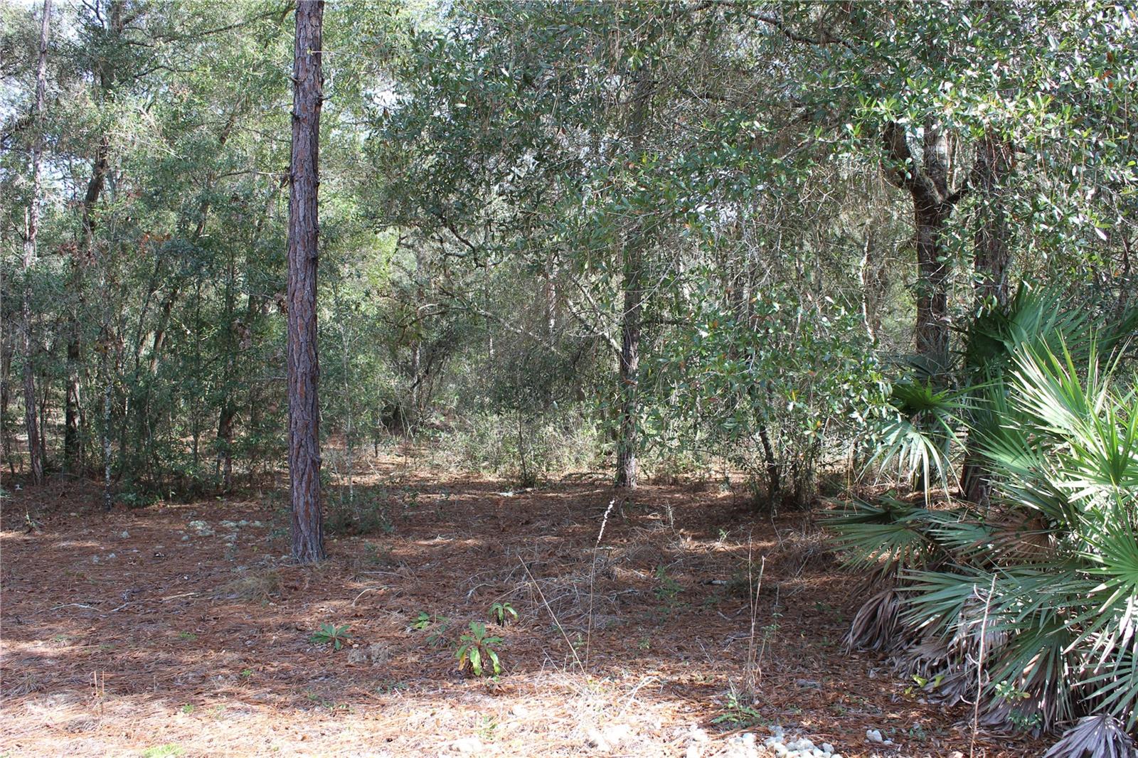 34273 Belt Dr Property Photo 4