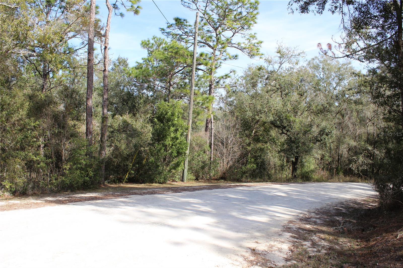 34273 Belt Dr Property Photo 5