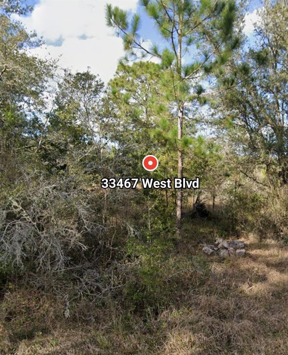 33467 West Blvd Property Photo 2