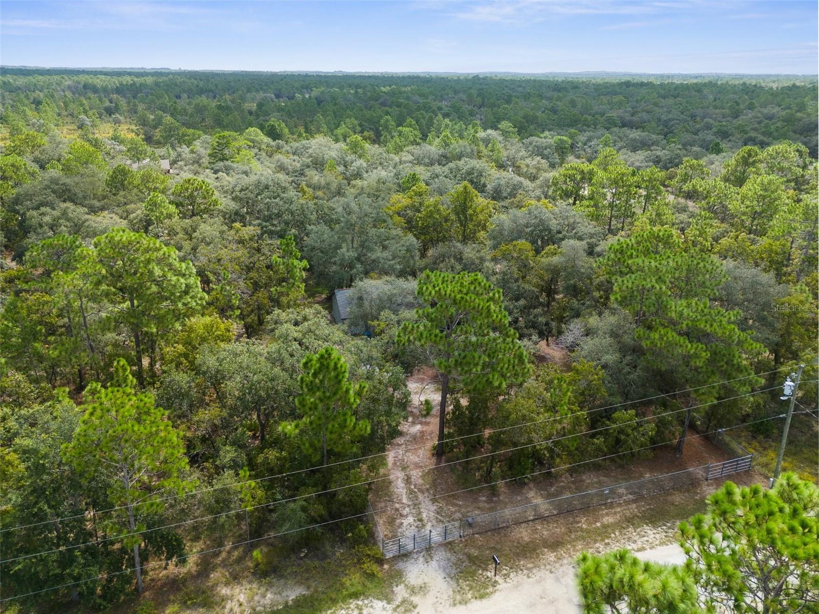 15236 Mottled Owl Rd Property Photo 13