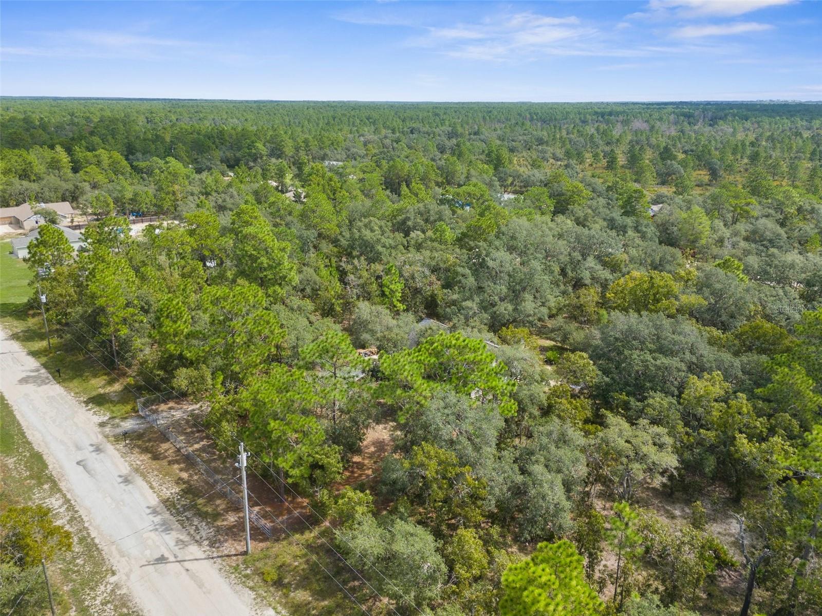 15236 Mottled Owl Rd Property Photo 15