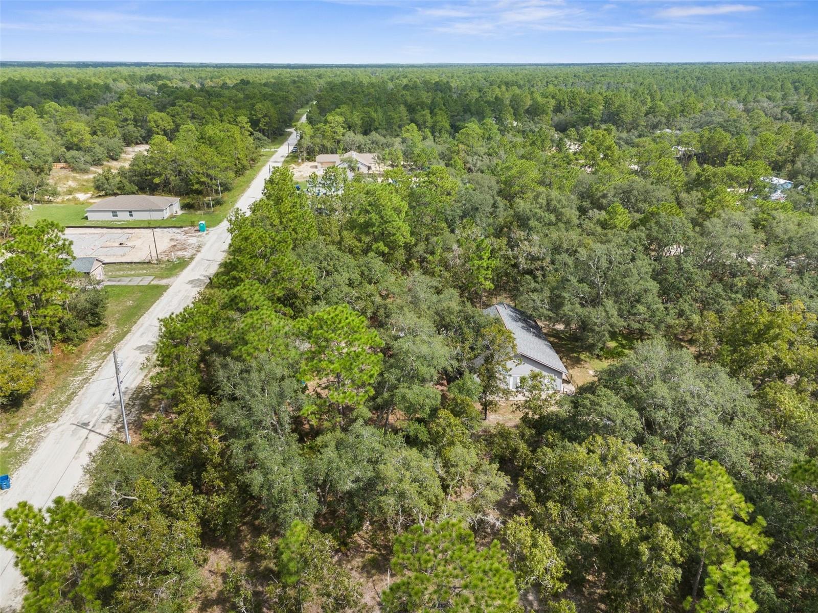 15236 Mottled Owl Rd Property Photo 16