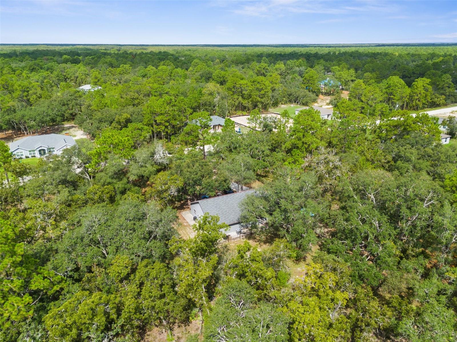 15236 Mottled Owl Rd Property Photo 17