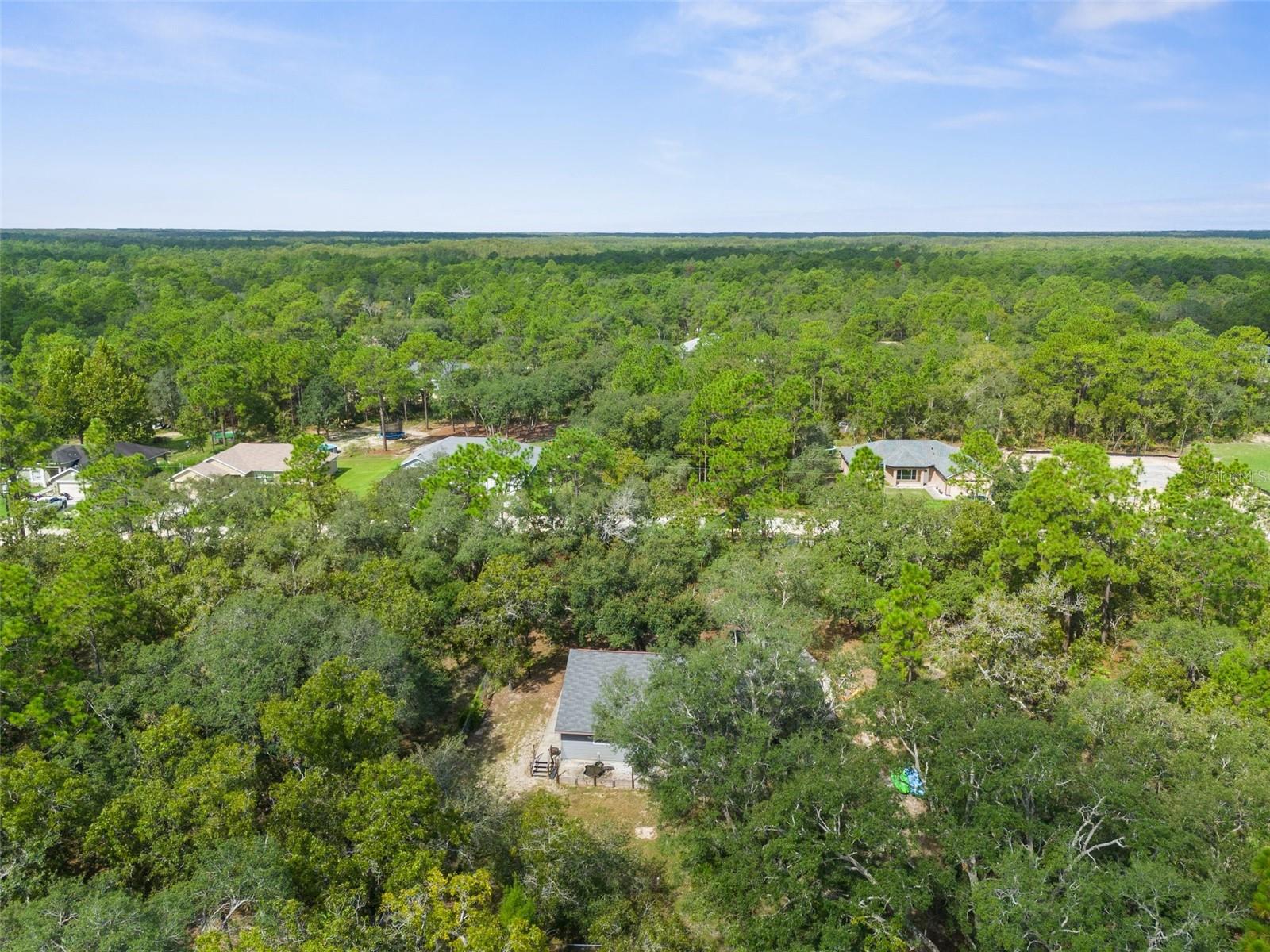 15236 Mottled Owl Rd Property Photo 18
