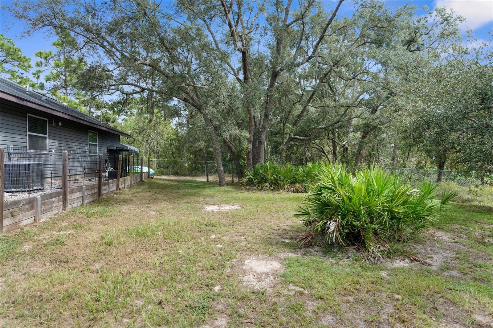 15236 Mottled Owl Rd Property Photo 22