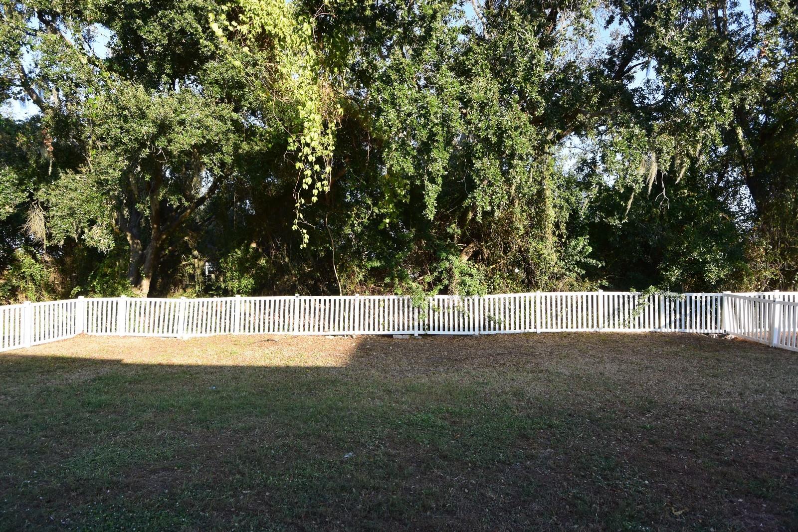 11454 Walden Loop Property Photo 46