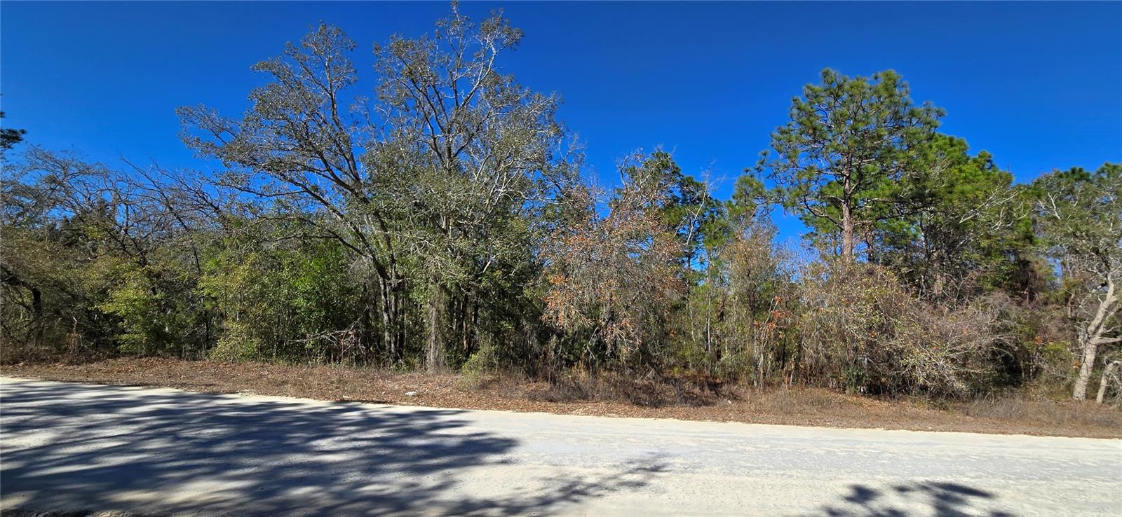 13231 ROAD RUNNER AVE Property Photo 1
