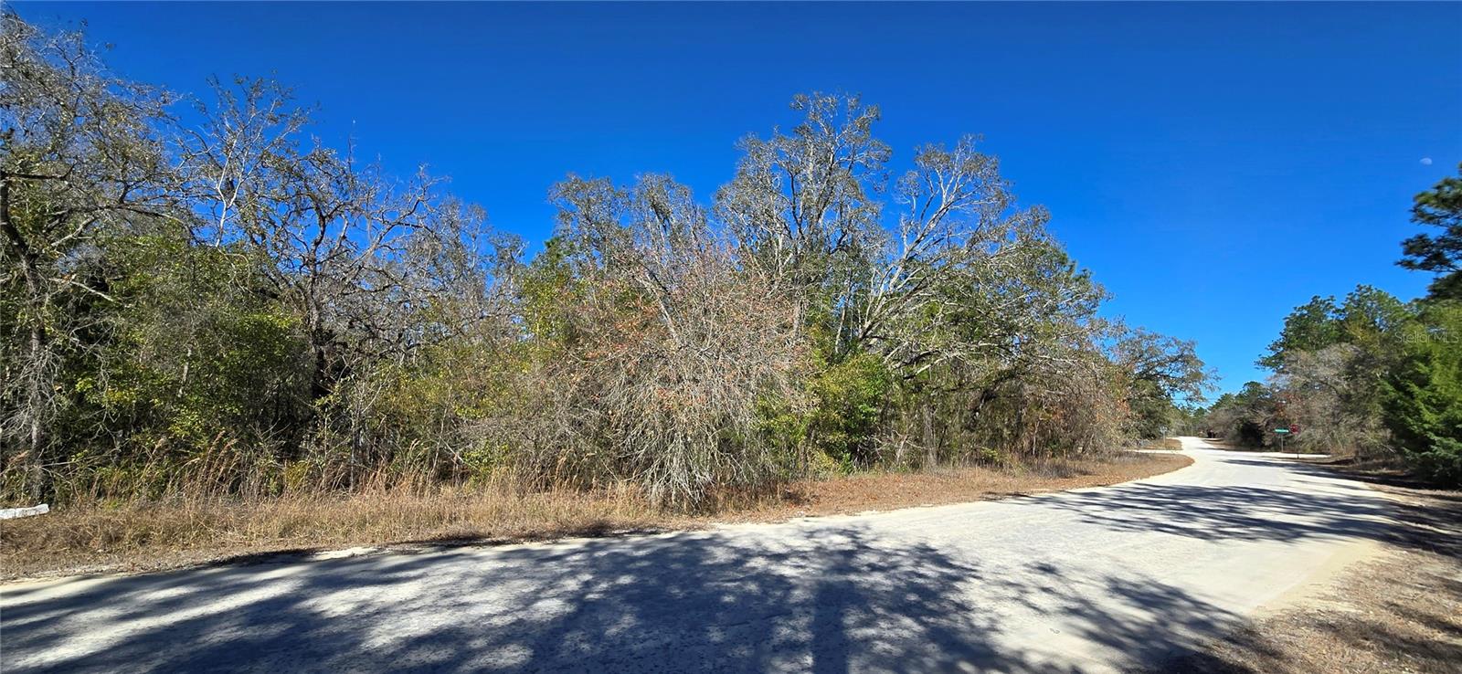 13231 Road Runner Ave Property Photo 4