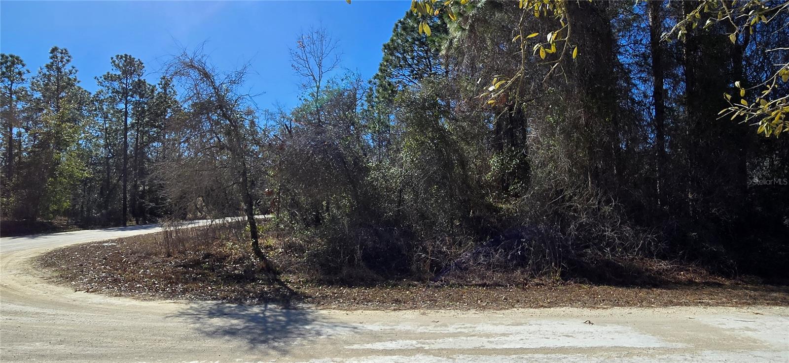 13231 Road Runner Ave Property Photo 7