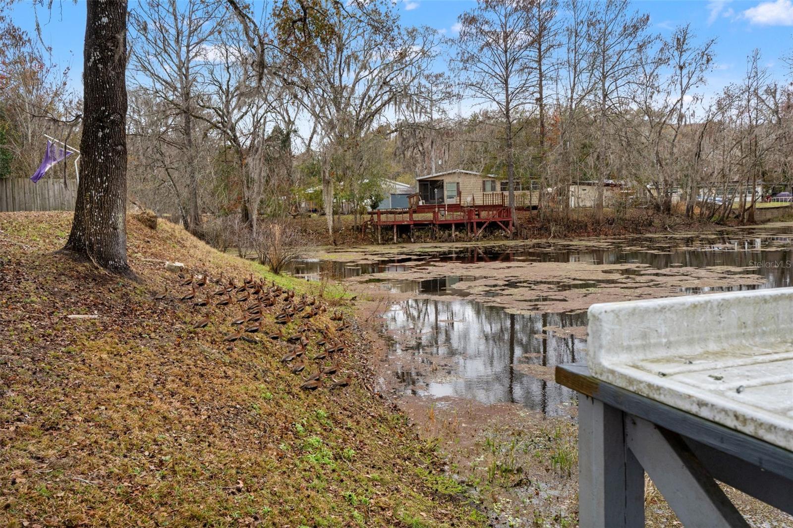 7154 Co Rd 651 Property Photo 31