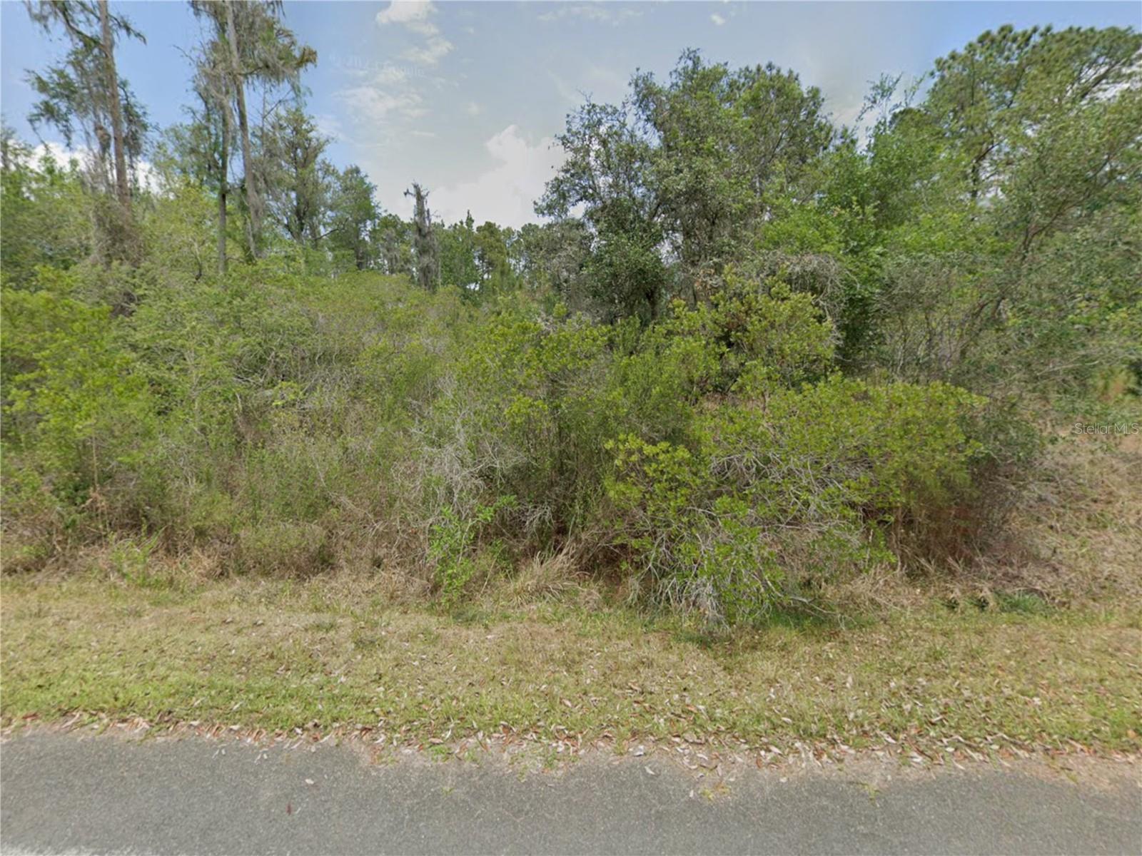 9474 N Bonsai Ave Property Photo 1