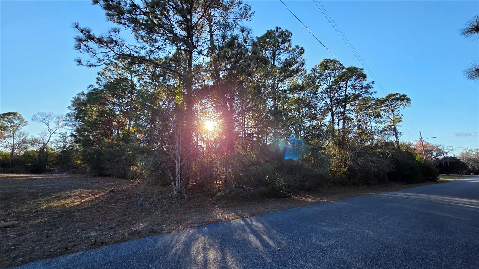 13122 Angler St Property Photo 3