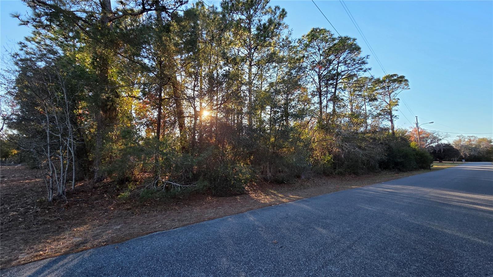 13122 Angler St Property Photo 4