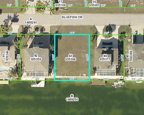 3464 Bluefish Dr Property Photo 4