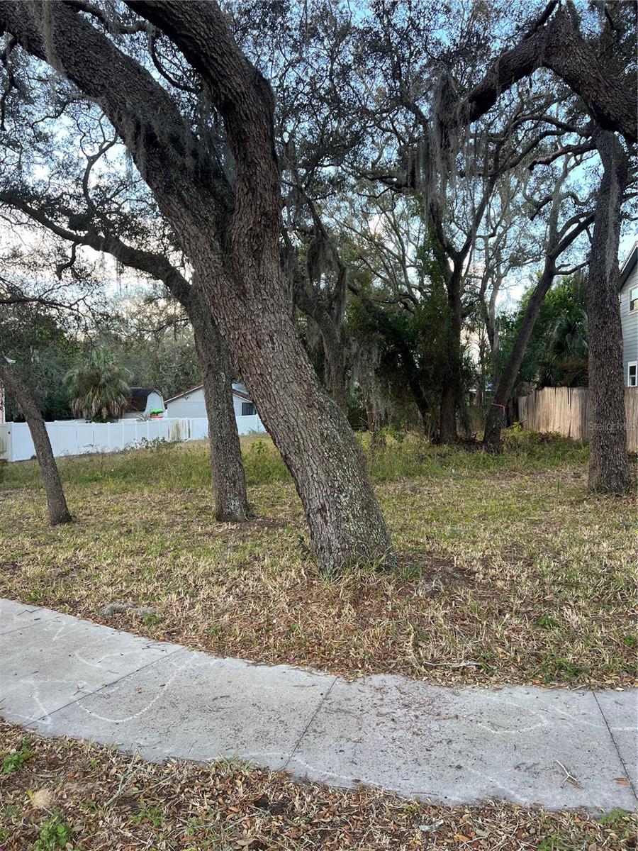 Forde Ave Property Photo 3