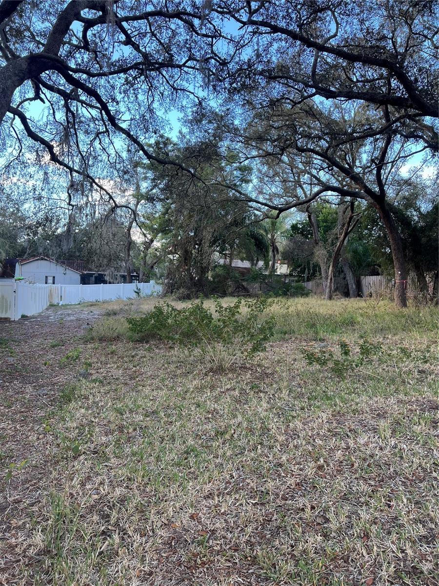Forde Ave Property Photo 4
