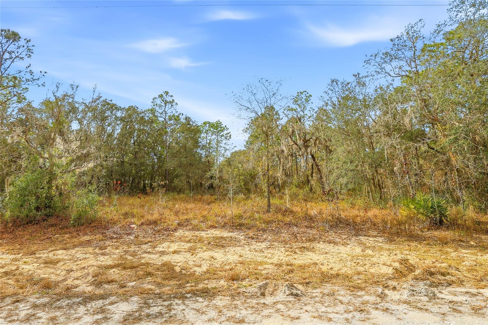 Cayman Rd Property Photo 4