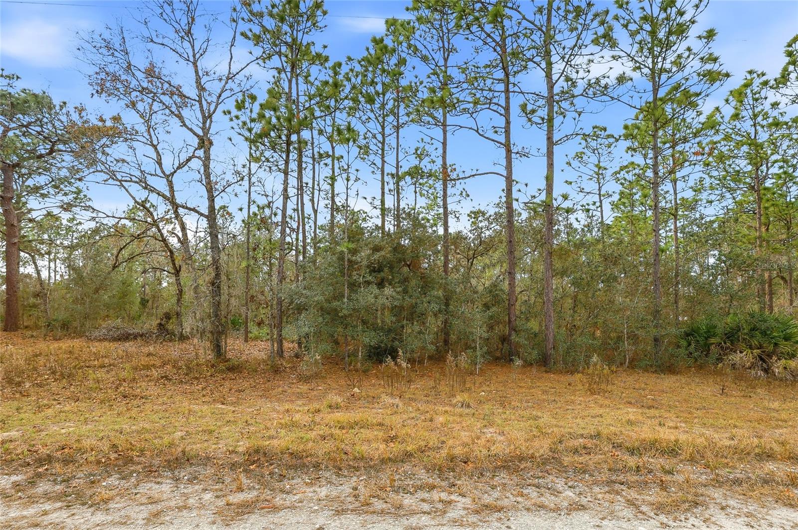 Cayman Rd Property Photo 3