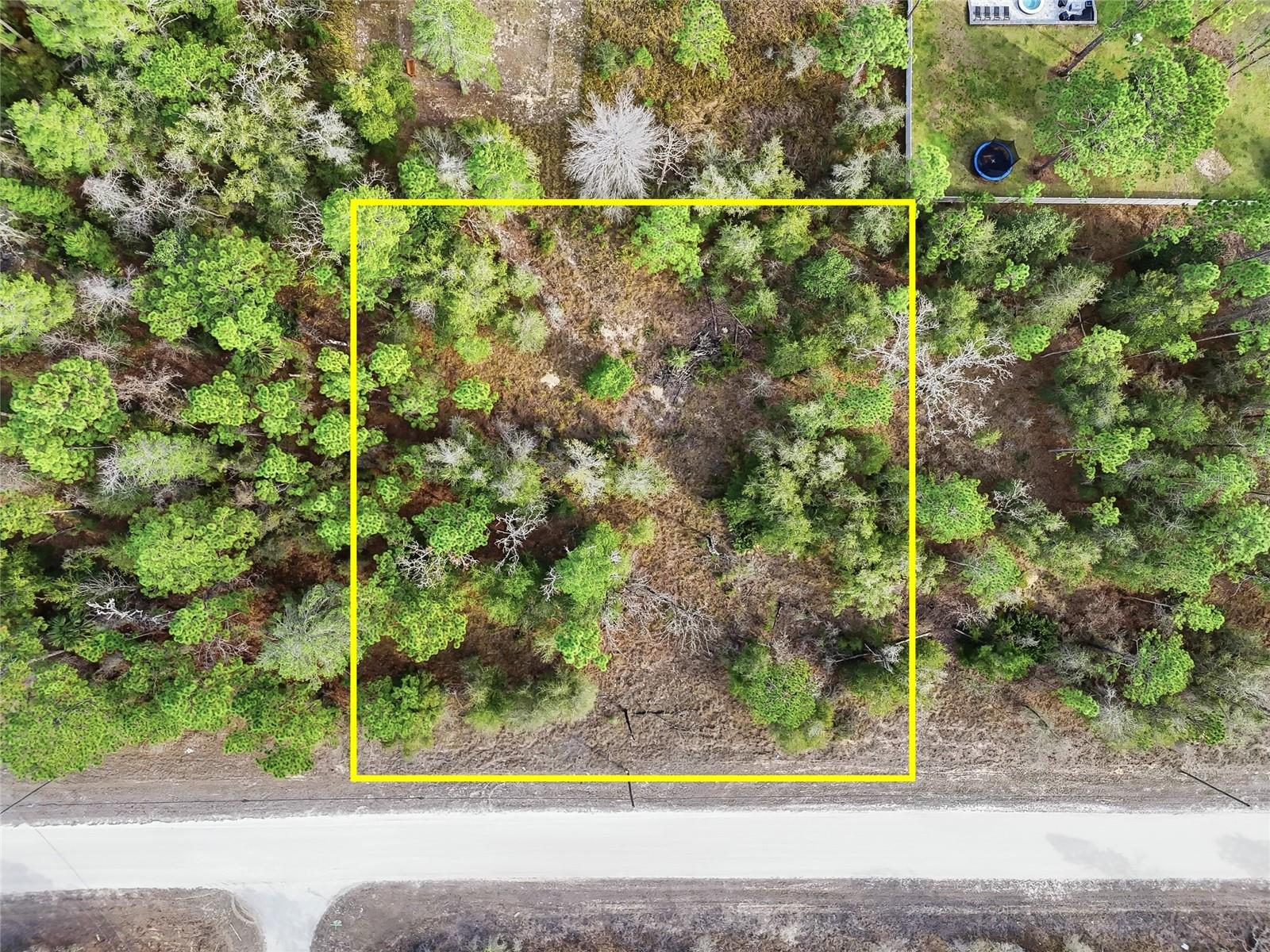 Chimney Swift Rd Property Photo 1