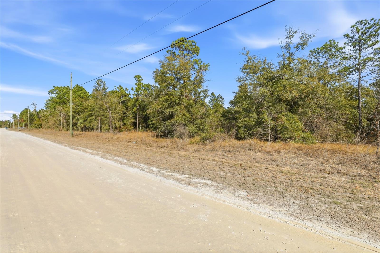 Chimney Swift Rd Property Photo 3