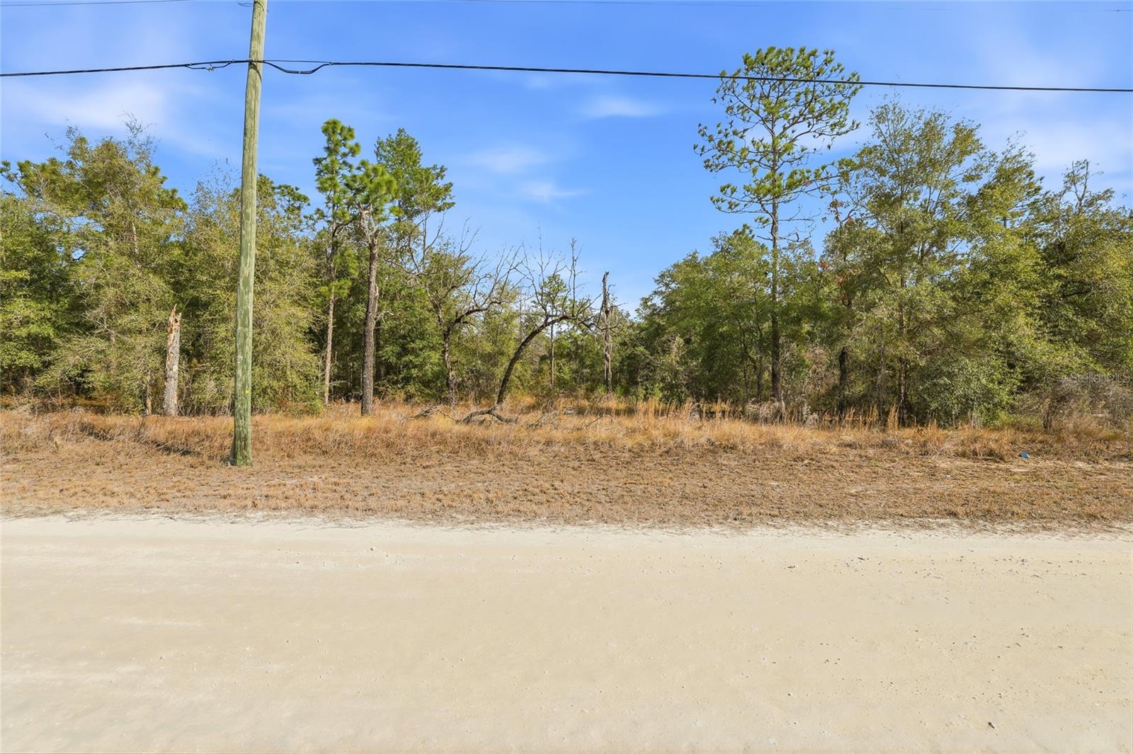 Chimney Swift Rd Property Photo 4