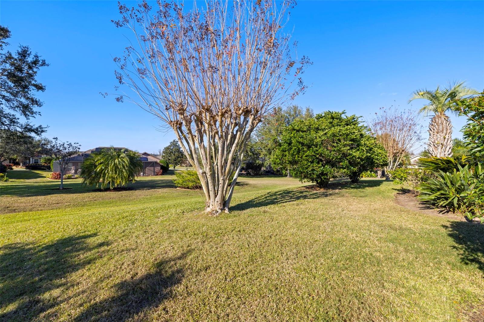 13235 Legends Trl Property Photo 43