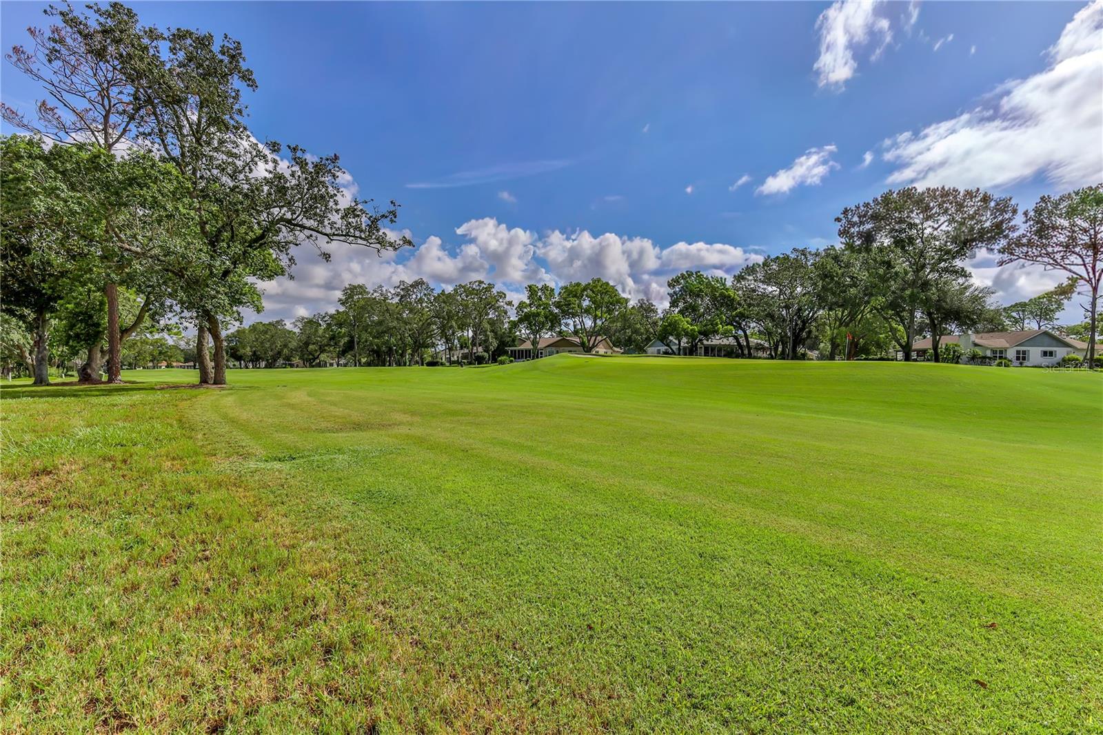 2376 Bent Pine Ct Property Photo 58